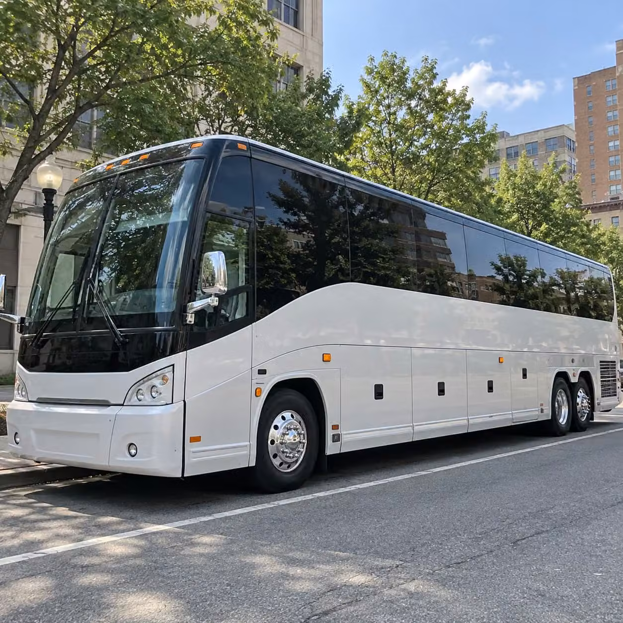 you ll love how many north brunswick prom transportation options are available through the network